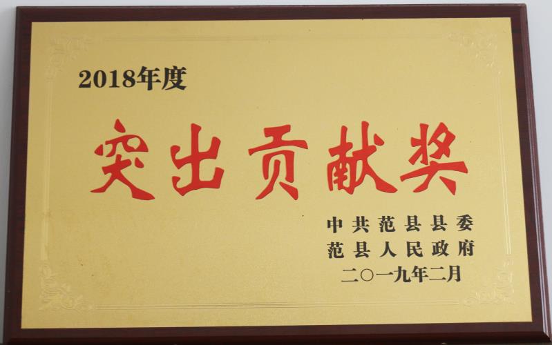 2018年度突出貢獻(xiàn)獎(jiǎng)（盛源科技）.jpg